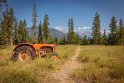 161 Canada, Golden, Rocky Mountain Buffalo Ranch